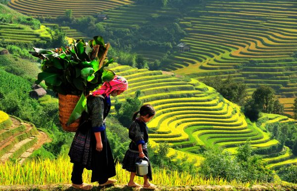 Du lịch Sapa - Cát Cát - Hàm Rồng - Trại Nuôi Cá Hồi