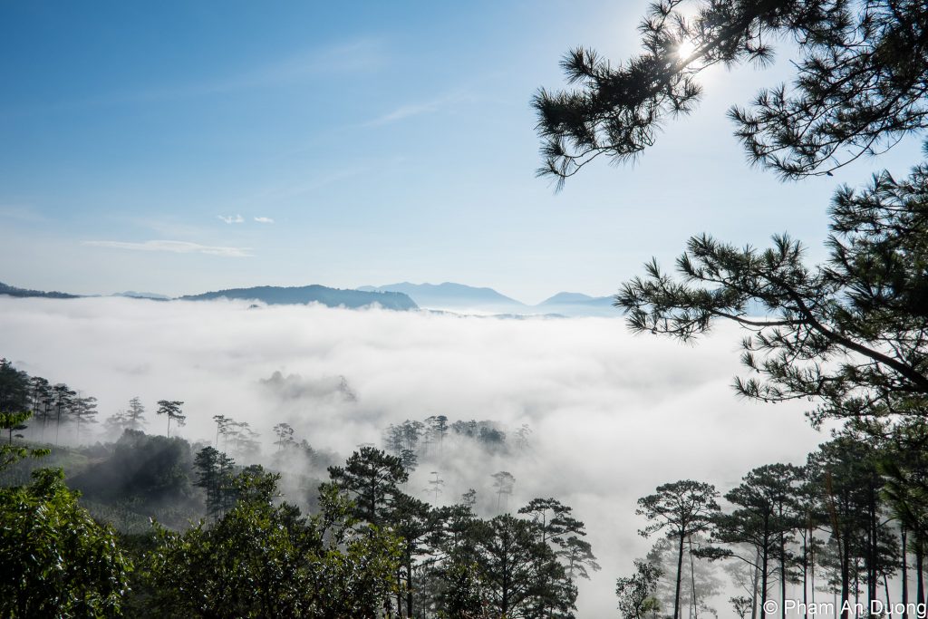 Bidoup – Những tour trekking miền nam đầy ma mị