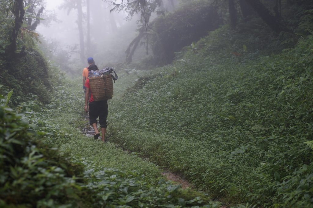 Trekking Pavi