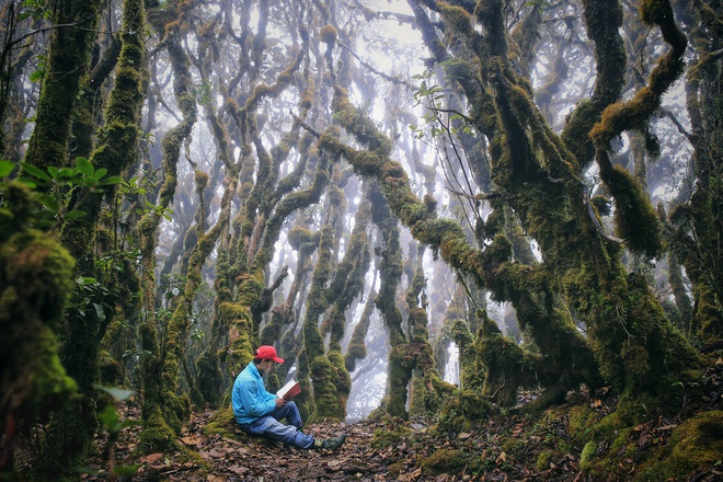 trekking Tả Liên Sơn với khu rừng nguyên sinh