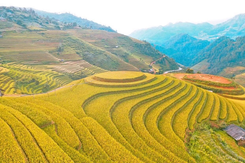 ruộng bậc thang ở Mù Cang Chải