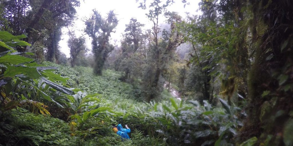 trekking miền Bắc