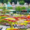 Tour Charter Hàn Quốc: Hà Nội - Seoul - Nami - Everland