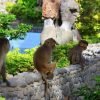 Du lịch Nha Trang giá rẻ - Thám Hiểm Đại Dương Tại Đảo Khỉ