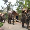 Tour Du lịch Nha Trang - Buôn Mê Thuột