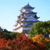 Du Lịch Nhật Bản Hành Trình Vàng: Hà Nội - Tokyo - Phú Sỹ - Yamanashi - Nagoya - Kyoto - Osaka