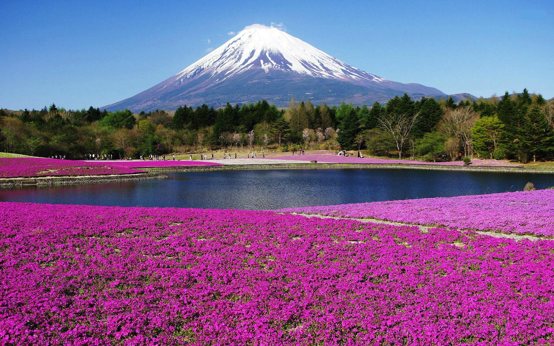 Tour Nhật Bản 4N3Đ Ngày Lãng Mạn Sắc Thu Nhật Bản: Tokyo - Hakone - Fuji - Yamanashi