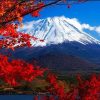 Tour Du Lịch Nhật Bản Khởi Hành Từ Hồ Chí Minh: Tokyo - Hakone - Núi Phú Sĩ