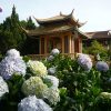 Du lịch Đà Lạt: Khám phá thác Pongour – Trúc Lâm Viên – Thác Prenn - Thiền viện Trúc Lâm
