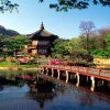 Tour Hàn Quốc Siêu Hot: Hồ Chí Minh - Seoul - Nami - Everland - Công viên Yeouido