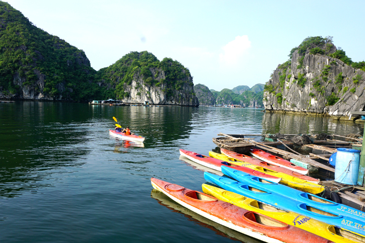 Chèo thuyền Kayak tại vịnh Lan Hạ