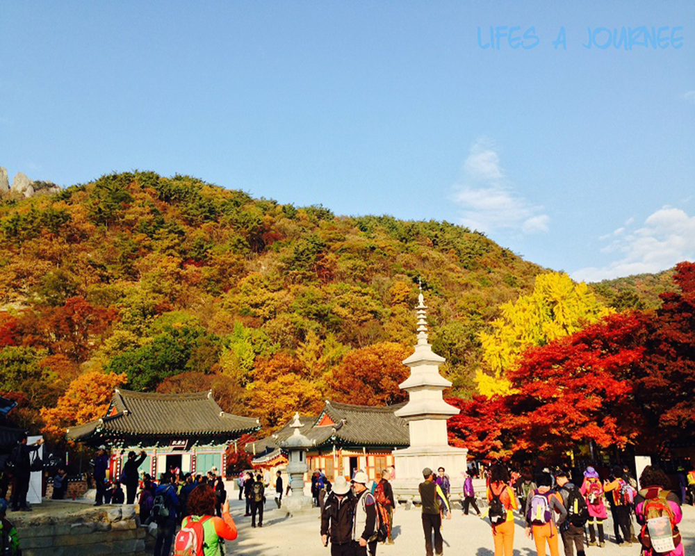 Du lịch Hàn Quốc 5 ngày 4 đêm : Seoul - Jeju - Nami - Running Man