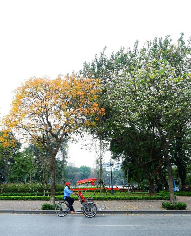 Combo khách sạn 4 sao Flower Garden Hà Nội 3N2Đ