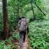 Du lịch Sapa - Cát Cát - Hàm Rồng - Trại Nuôi Cá Hồi - Hình ảnh 2