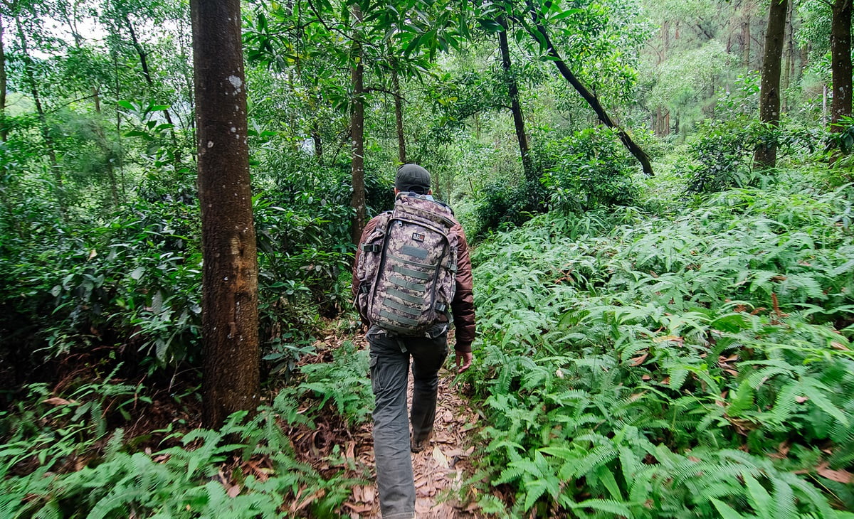 Trekking Núi Hàm Lợn