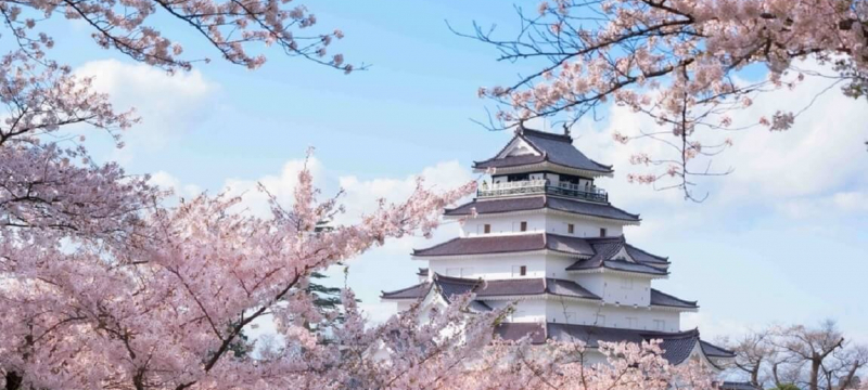 Tour ngắm hoa anh đào: Hà Nội - Osaka - Kyoto - Shirakawago - Nara 5N4Đ