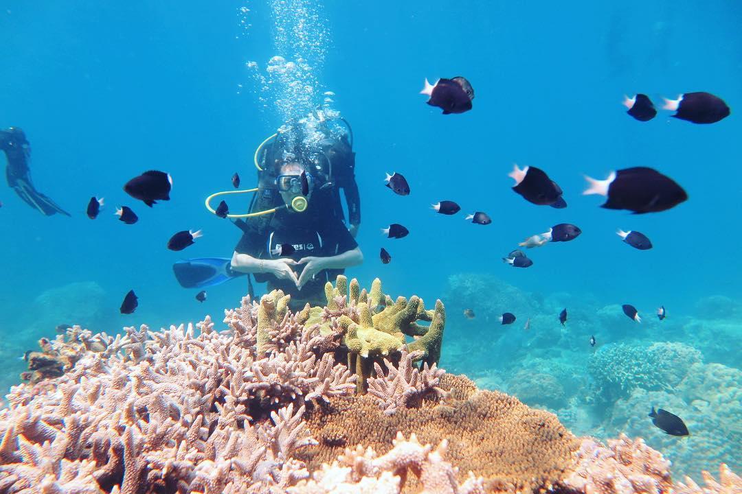 ngắm san hô tại Nha Trang