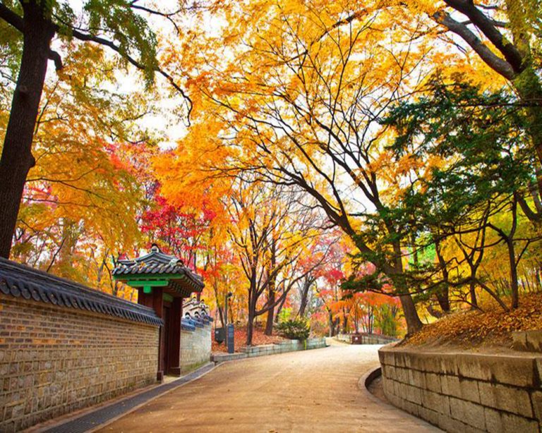 Tour Charter Hàn Quốc: Hà Nội - Seoul - Nami - Everland