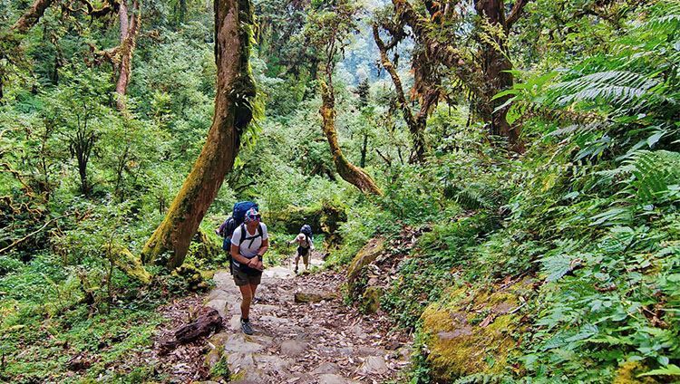 trekking núi langbiang ở Đà Lạt