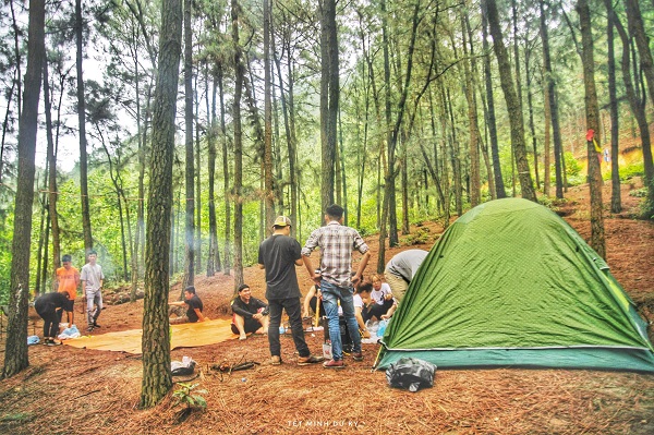 cắm trại cùng nhóm bạn