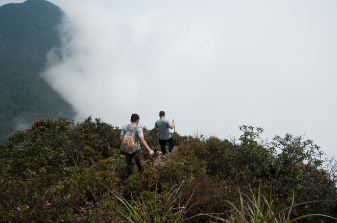 Trekking núi tam đảo