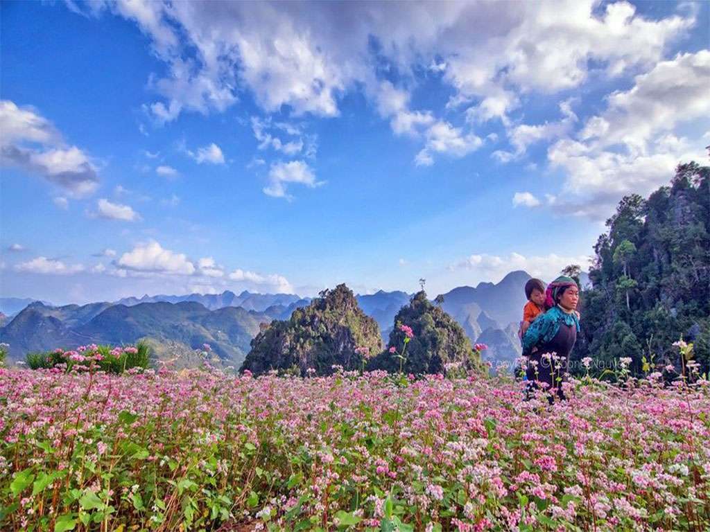 Chương trình Tour 3N2Đ: Hà Nội - Hà Giang - Đồng Văn - Lũng Cú - Nho Quế