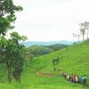 Tour Trekking: Tà Năng - Phan Dũng (Thác YAVLY) - Hình ảnh 4