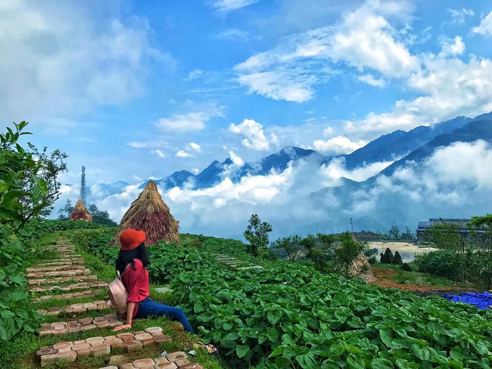 du lịch săn mây sapa ngày nghỉ lễ