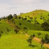 Tour Trekking: Tà Năng - Phan Dũng (Thác YAVLY) - Hình ảnh 3