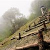TOUR LEO FANSIPAN 01 NGÀY - Hình ảnh 5