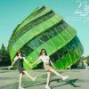 Du lịch Đà Lạt dịp Lễ 2/9 tham quan trang trại rau và hoa - Hình ảnh 9