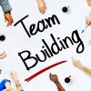 Team Building - Hình ảnh 2