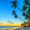 Du lịch Phan Thiết - Hòn Rơm - Tắm Bùn Khoáng - Lâu Đài Rượu Vang dịp Lễ 2/9 từ Sài Gòn - Hình ảnh 4