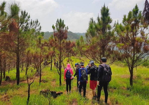 Trekking kết hợp trồng cây